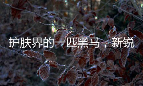 选择往往比努力更加重要