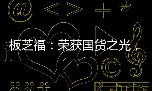 板芝品牌实力得以彰显