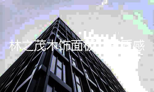 实在太治愈木饰面格栅组合