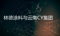 快排公司十年历程，霸屏兔 seo 的崛起与坚守