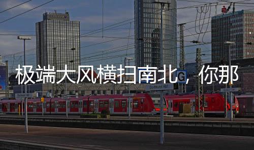 已致北京多棵行道树倒伏