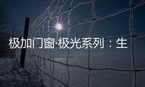 它如梦幻般在夜空中舞动
