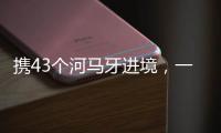 携43个河马牙进境，一男子在拱北口岸被查