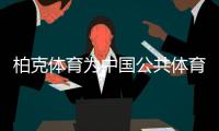 快排公司十年历程，霸屏兔 seo 的崛起与坚守
