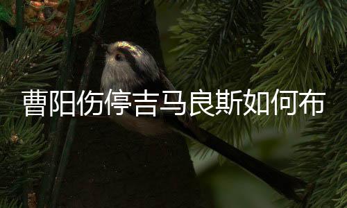 杭州的阵舒天气非常炎热