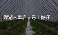 曝湖人重启交易！你好
�，维金斯！NBA争冠球队新宠儿