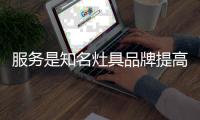 快排公司十年历程，霸屏兔 seo 的崛起与坚守