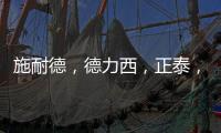 施耐德，德力西�，正泰，西门子
，飞雕，公牛
，哪个品牌好?