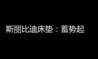 斯丽比迪床垫：蓄势起 御未来 聚心前行