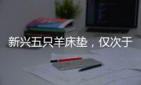 新兴五只羊床垫，仅次于五星级的睡眠体验!