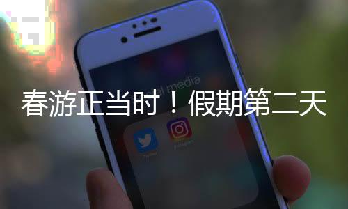 三五人群撑伞漫步花径