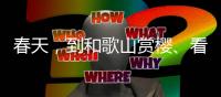 春天，到和歌山赏樱�、看猫