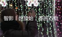 智影丨惊蛰始，春回万物生