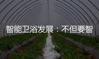 智能卫浴发展：不但要智能 更要有品位