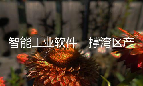 国家应加大财政上的工业投入