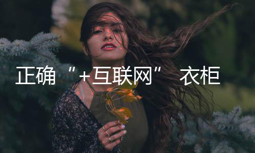 品牌以及网络渠道自身