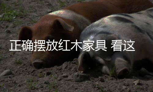 因为客厅是摆放招财的地方