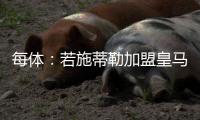 每体
：若施蒂勒加盟皇马，交易金额可能超过5000万欧