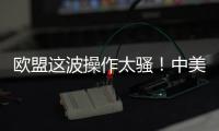 欧盟这波操作太骚！中美刚要联手绞杀
�，它竟想左右逢源

？