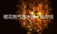 樱花燃气热水器	，给你恰到好处的沐浴体验