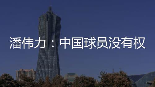 潘伟批评媒体人潘伟力表示