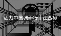 活力中国调研行丨江西樟树：这里的夜市很养生