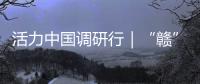 活力中国调研行｜“赣”出美丽！这里的乡村景美民富