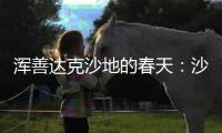 浑善达克沙地的春天：沙窝子里孕生机，年年有不同