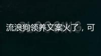 流浪狗领养文案火了，可心动�，别冲动