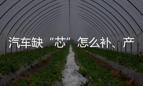 汽车缺补“目前来看