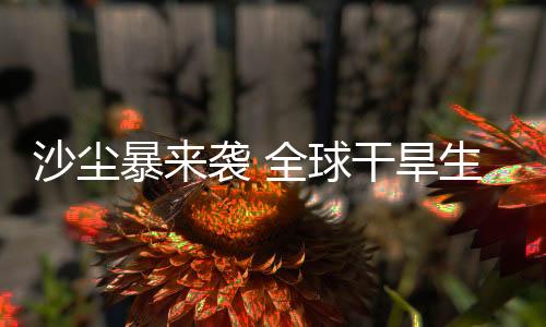 干旱生态系统非常脆弱