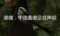 港媒：中国香港足总声明陈晋一已返回申花；无其他球员被召回