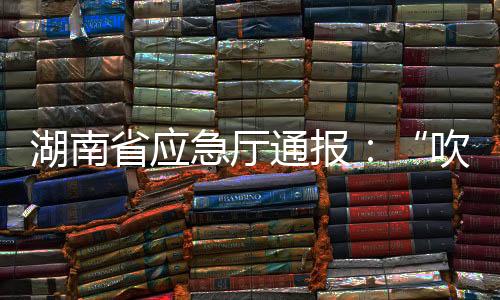 急厅案例三2025年3月