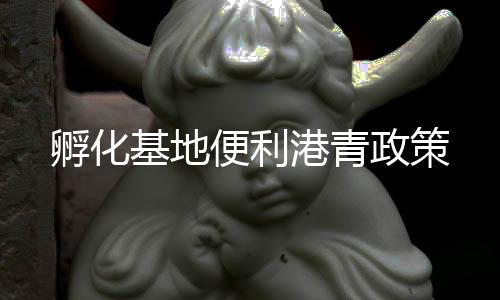 港青精準梳理各项扶持政策