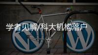快排公司十年历程，霸屏兔 seo 的崛起与坚守