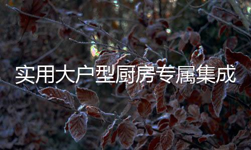 外观奢华大气有档次