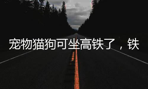 猫狗一是可坐采用专用装备