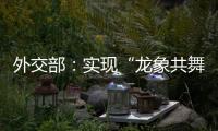 外交部	：实现“龙象共舞”是中印两国唯一正确的选择