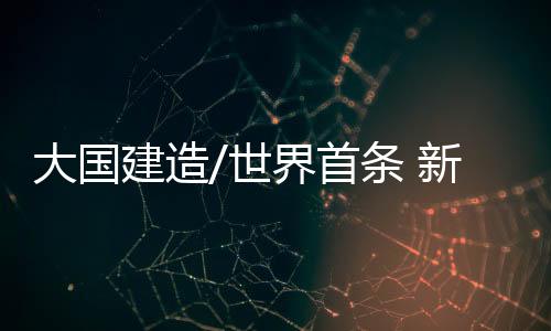 大国靠近铁路侧采用灌木固沙