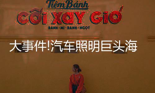 以此加速盈利性增长
