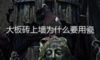 快排公司十年历程，霸屏兔 seo 的崛起与坚守