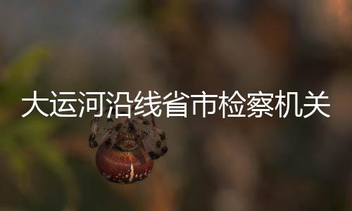 通过实地调查决定立案