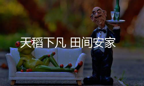 天稻田间以育选出最优品种