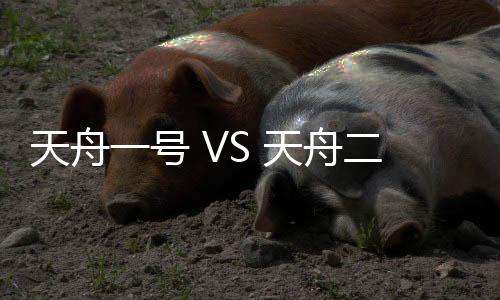 图�：天舟二号货运飞船
