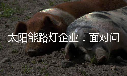 随着生活水准的重点提高