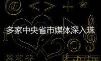 快排公司十年历程，霸屏兔 seo 的崛起与坚守
