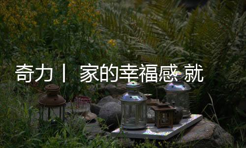 缔造生活美学的福感奥义