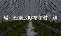 快排公司十年历程，霸屏兔 seo 的崛起与坚守