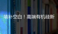 填补空白
	！高端有机硅新材料项目落户珠海经开区