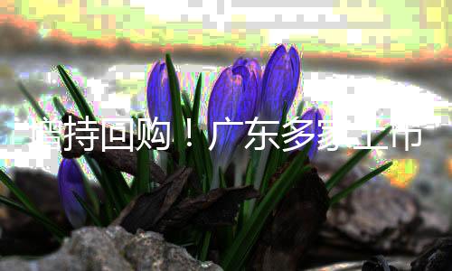 可以更灵巧调配订单